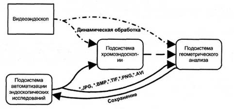 Структура разрабатываемой системы